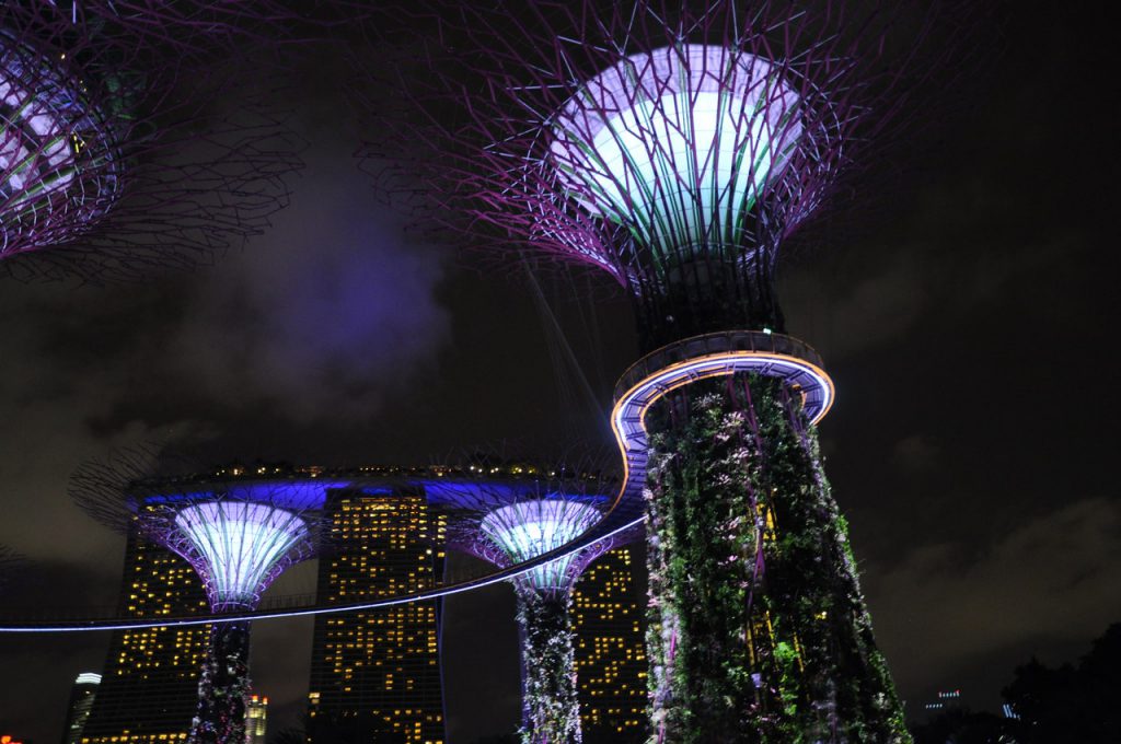 Pokaz świateł pod superdrzewami w Singapurze